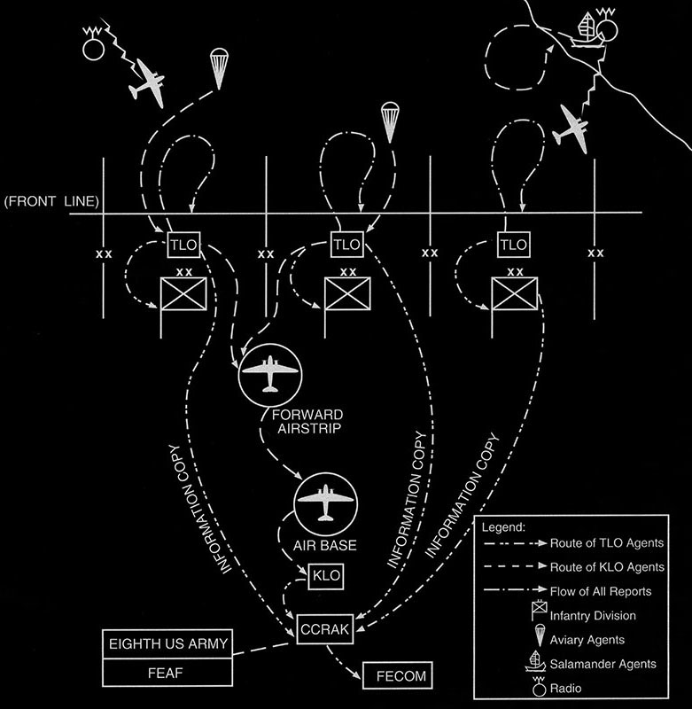 Diagram showing the relationship between TLO agents, the divisions they supported, and the presence of other partisans gathering intelligence on the battlefield.