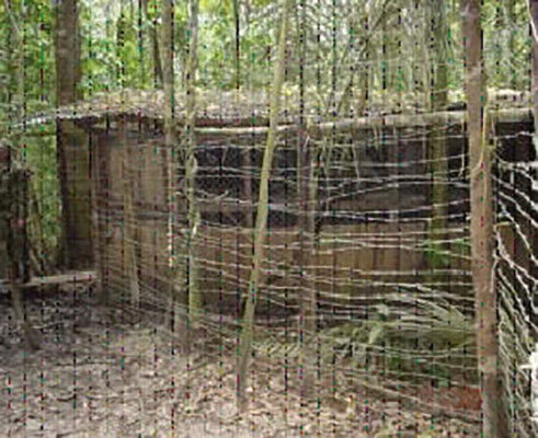 The FARC holds prisoners in compounds such as this one. To complicate rescue attempts, the FARC periodically rotates groups to new locations.