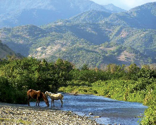 The Sierra Maestras are the highest mountains in Cuba. The rugged, inaccessible terrain allowed Castro’s 26th of July Movement a secure base from which to build support. This later became key in Che’s theories on guerrilla warfare.