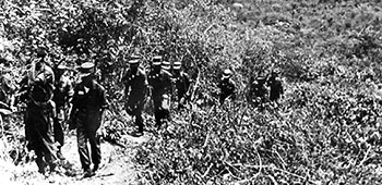 ARVN Rangers learned to move through all types of terrain.  Here they conduct a jungle approach march near Nha Trang.