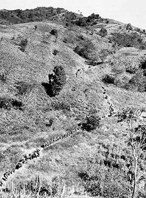 When on the march, the MARS Task Force columns stretched for several miles. Because the trails were often narrow, the 7,000 men and 3,000 mules had to travel single-file.