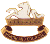 8th Cavalry Regiment DUI