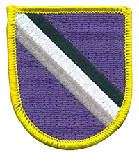 95th Civil Affairs