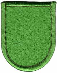 10th Special Forces Detachment flash