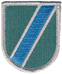 389th Military Intelligence Battalion Flash